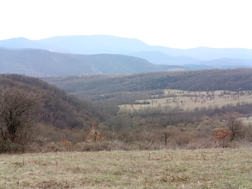Mátra hegység panoráma Sirok közelében túrázás közben